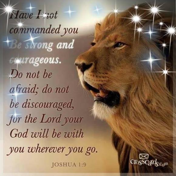 Meet your Posher, William - Picture 1 of 1